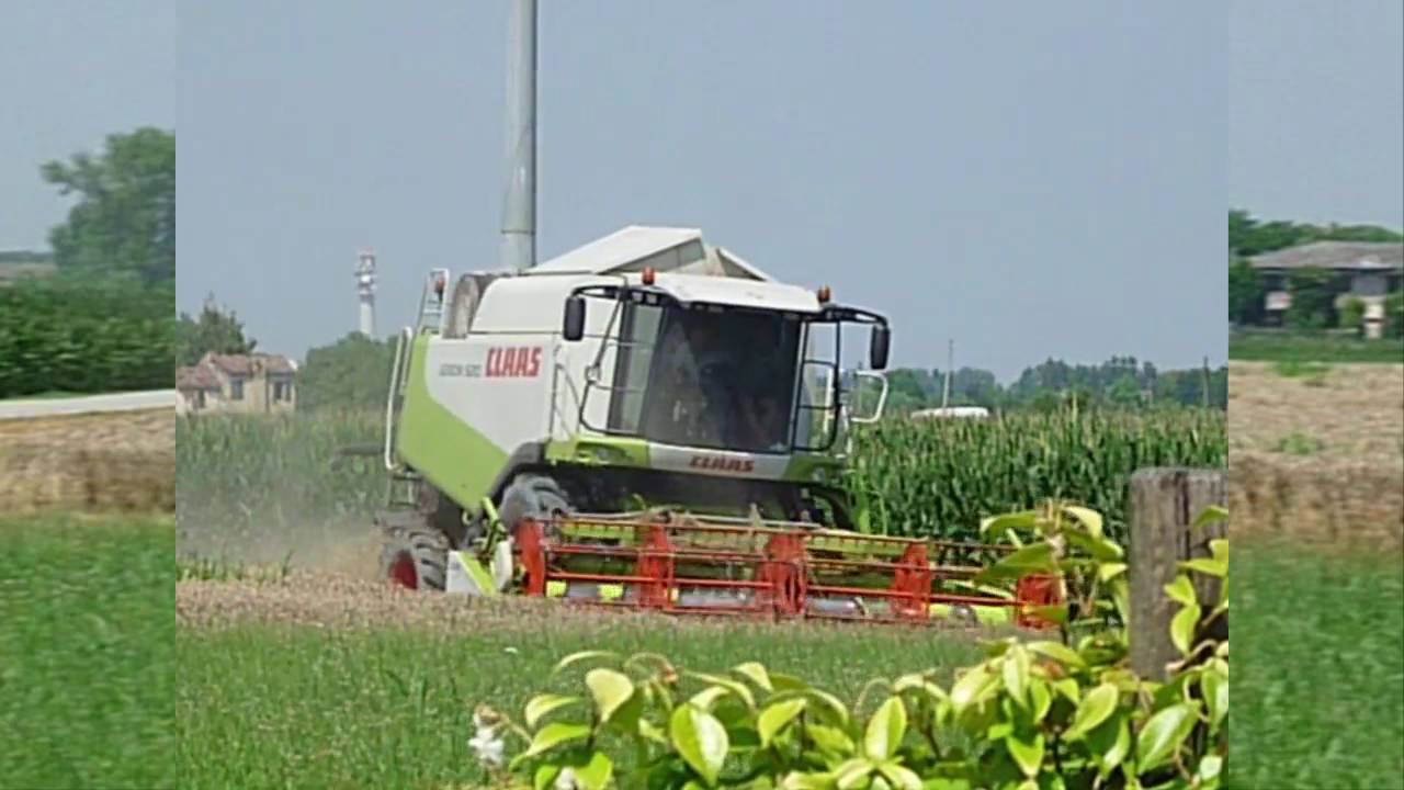 Trebbiatura frumento 2016- Claas Lexion 520