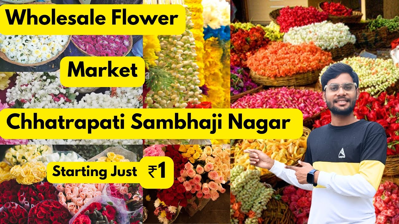 Starting Just ₹1 | Wholesale Flower Market | Chhatrapathi Sambhaji Nagar 😇