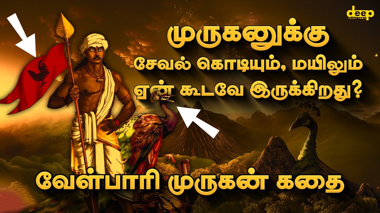 முருகனுக்கு சேவல் கொடியும், மயிலும் ஏன் கூடவே இருக்கிறது?  Interesting Velpari Murugan Story