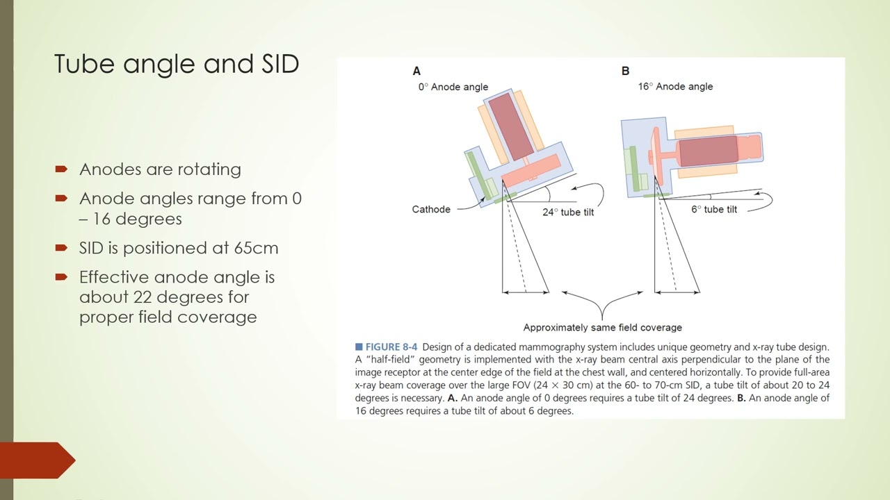 #15 mammography I