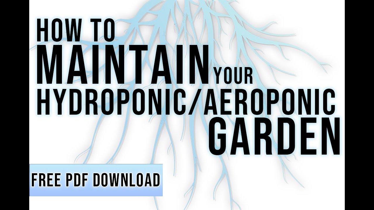How To Maintain Your Hydroponic Or Aeroponic Garden | PRO TIPS FROM SEED TO HARVEST