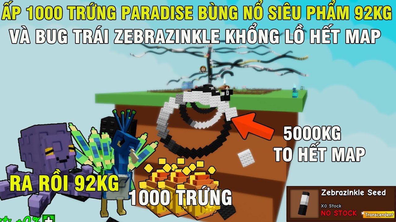 72H ẤP 1000 EGG PARADISA BÙNG NỔ VỚI SIÊU PHẨM 92KG VÀ BUG TRÁI ZEBRAZINKLE 1000KG KHỔNG LỒ | GAG