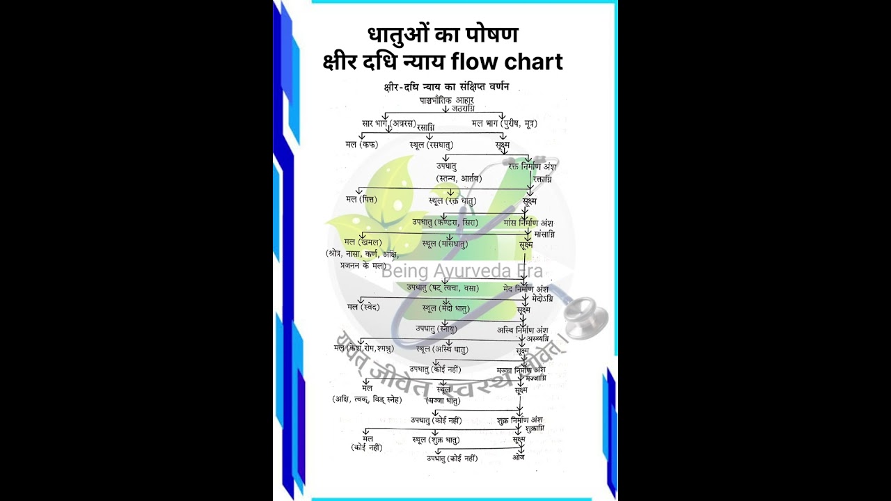 क्षीर दधि न्याय||धातुओं का पोषण#bams1stprof#bamsfirstyear#shortsfeed#kriyasharir#flowchart