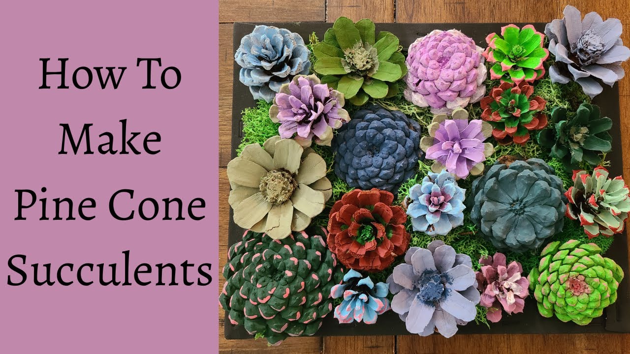 How To Make Pine Cone Succulents - Pine Cone Succulent decor using Dollar Tree Canvas and Moss!