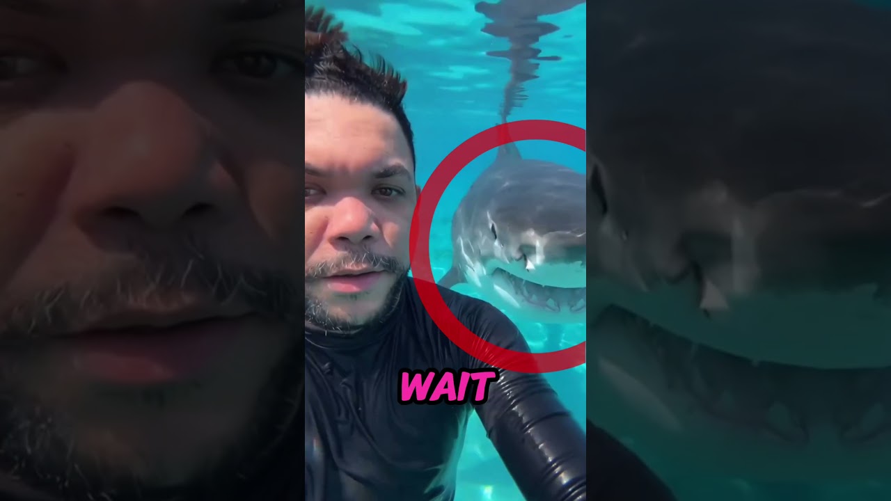 Он плыл один&hellip; А потом позади него появилось ВОТ ЭТО 😨🦈