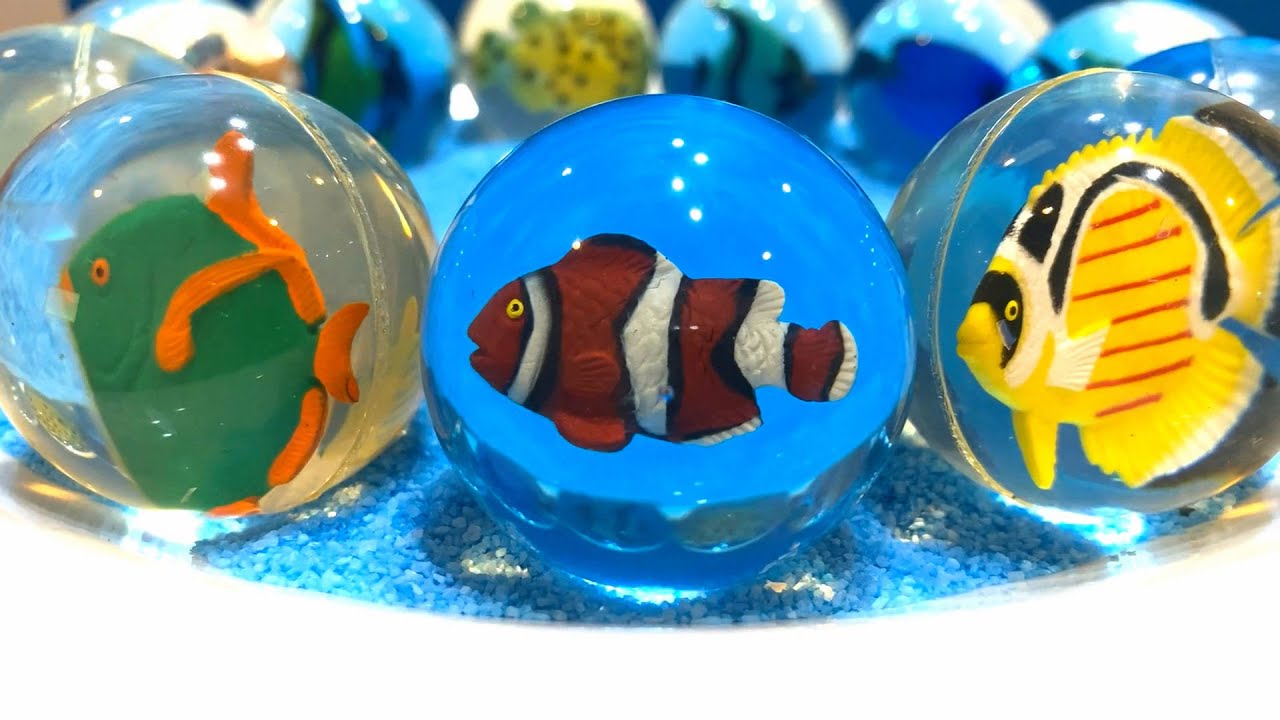 海の生き物スーパーボール コレクション bouncy ball