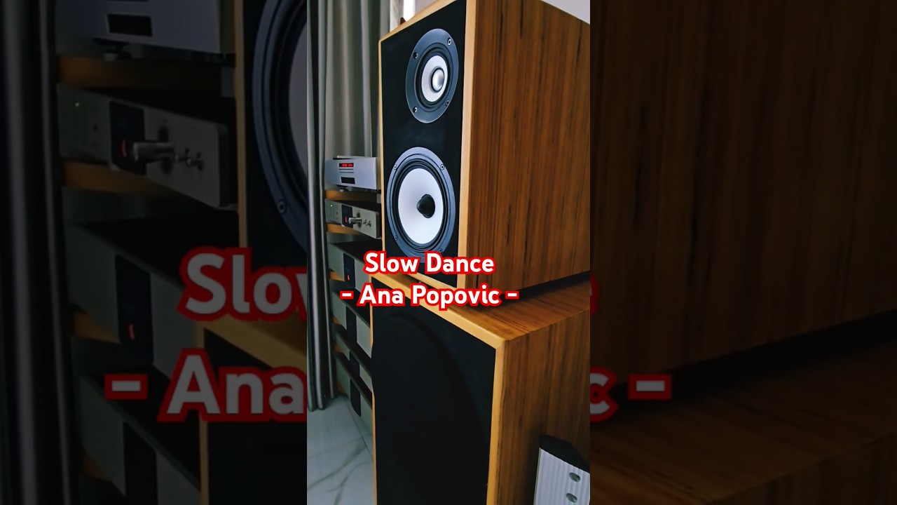 Custom-made Loudspeaker, Bangkok Acoustics 📢 #audio #audiophile #speaker #highend #hiend #กรุงเทพฯ