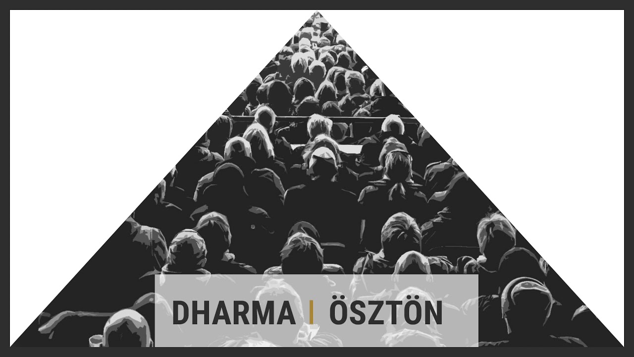 Dharma Beatz - &Ouml;szt&ouml;n