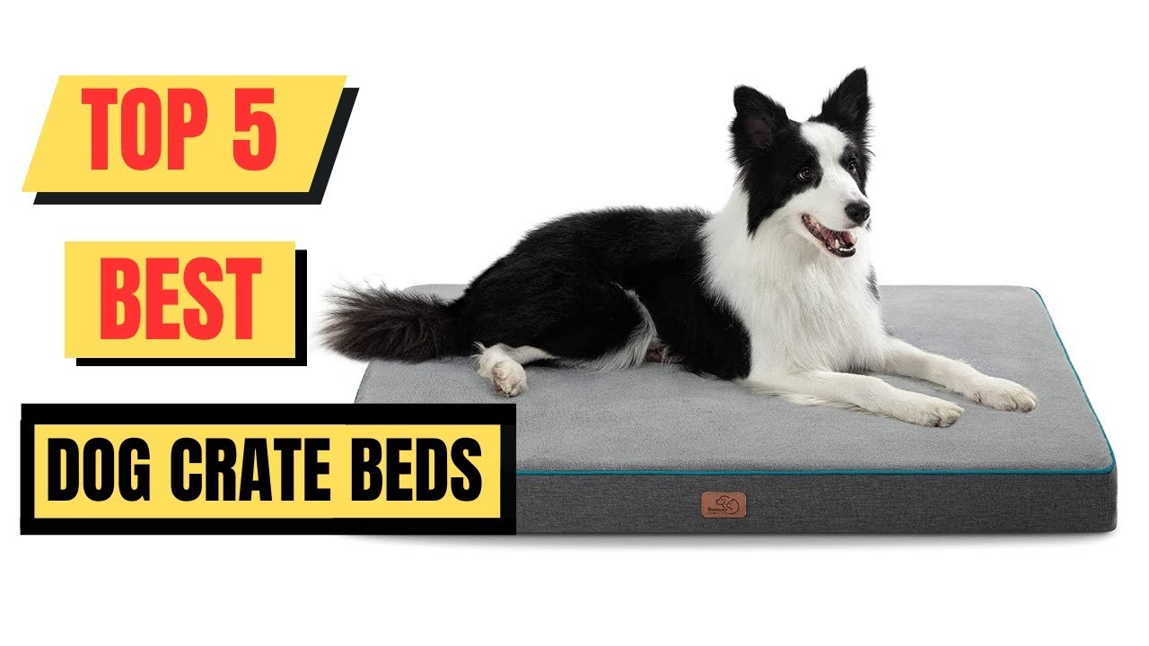 Top 5 Best Dog Crate Beds Of 2024 || Washable Dog Beds