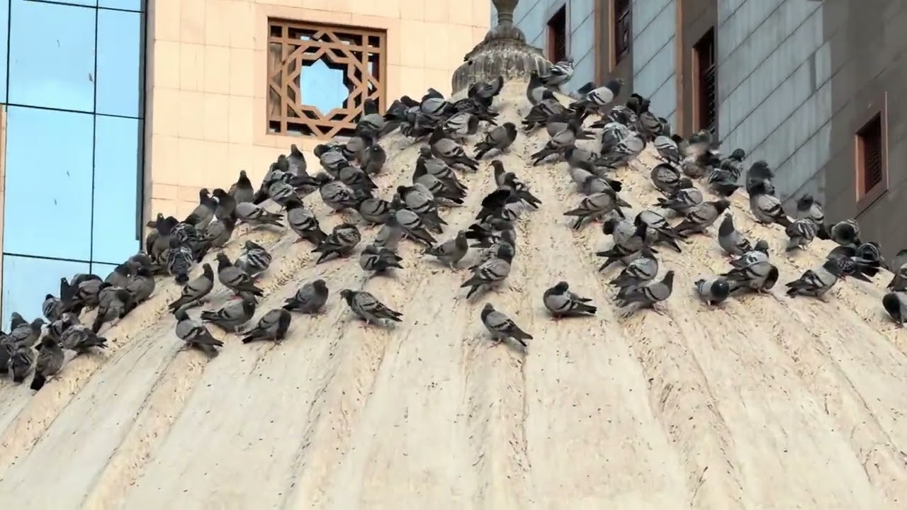 Masjid Abi Bakr Al-Siddiq / مسجد أبي بكر الصديق