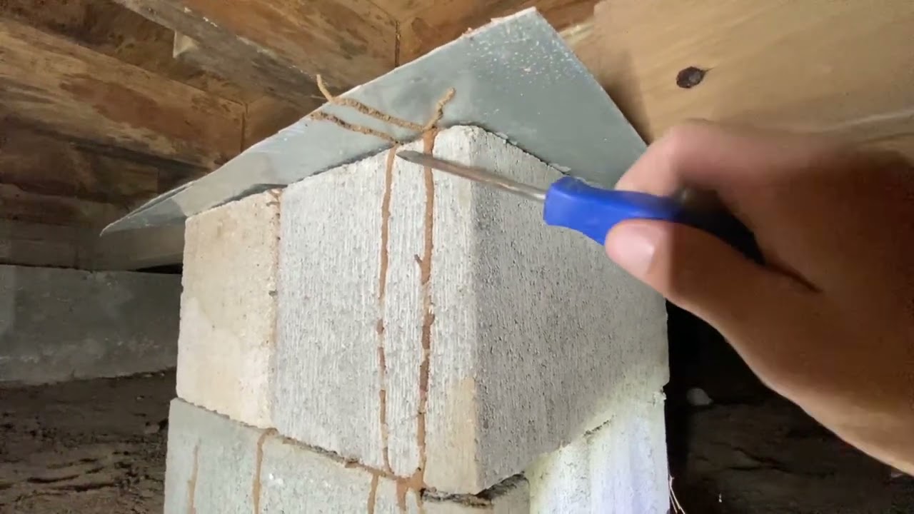See the DIFFERENCE Between the Right Kind of Wood vs. The WRONG Kind of Wood