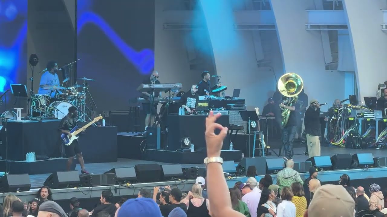 The Roots: A Roots Picnic Experience 