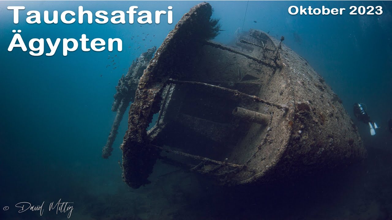 2023 Tauchsafari Ägypten, Rotes Meer