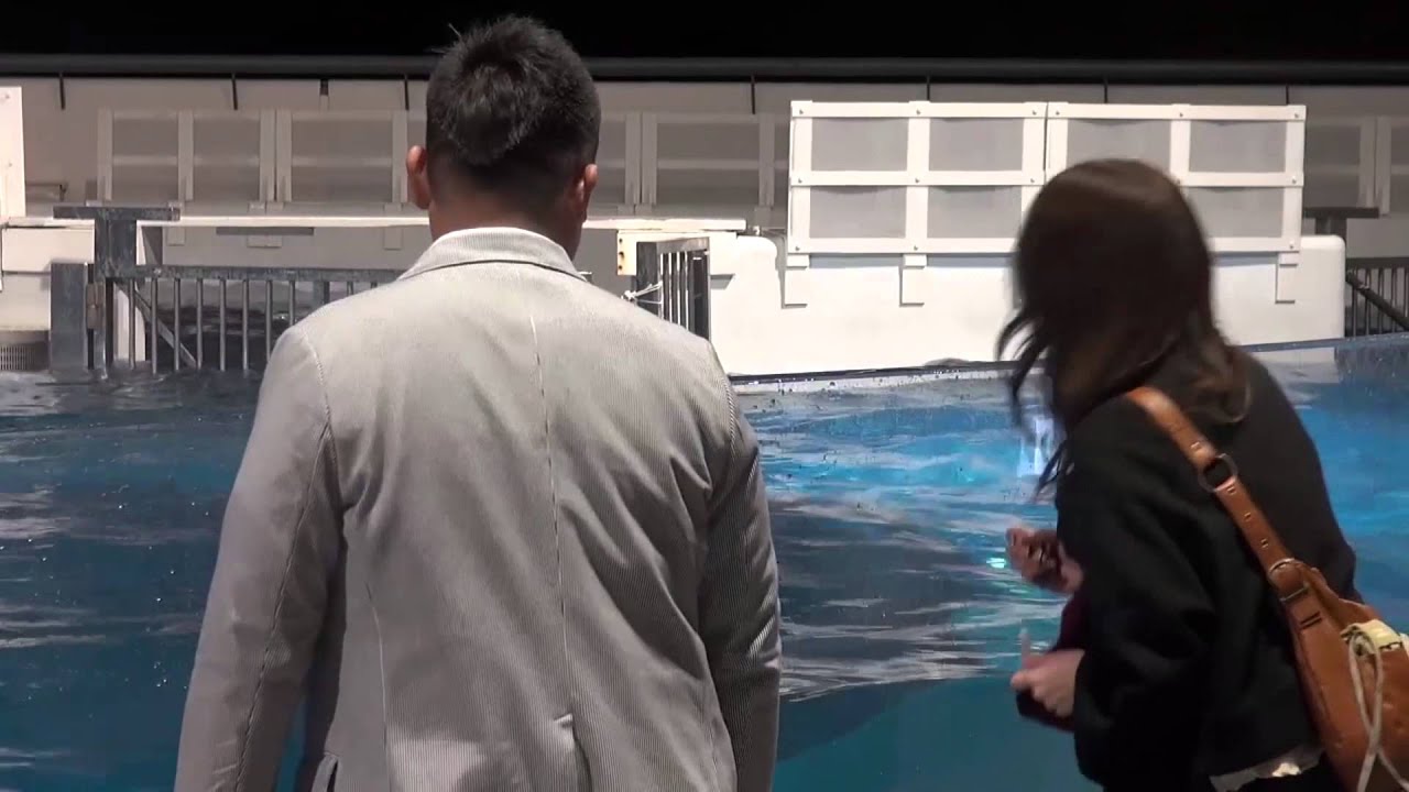 京都水族館のプロポーズ大作戦！