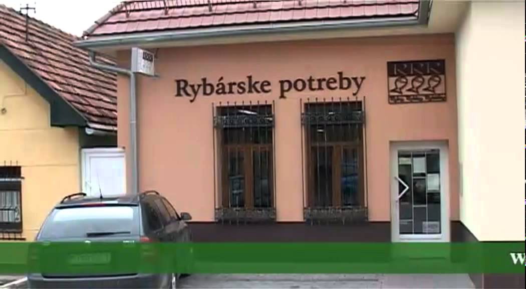 Ryby, rybky, rybičky 8 - 2012