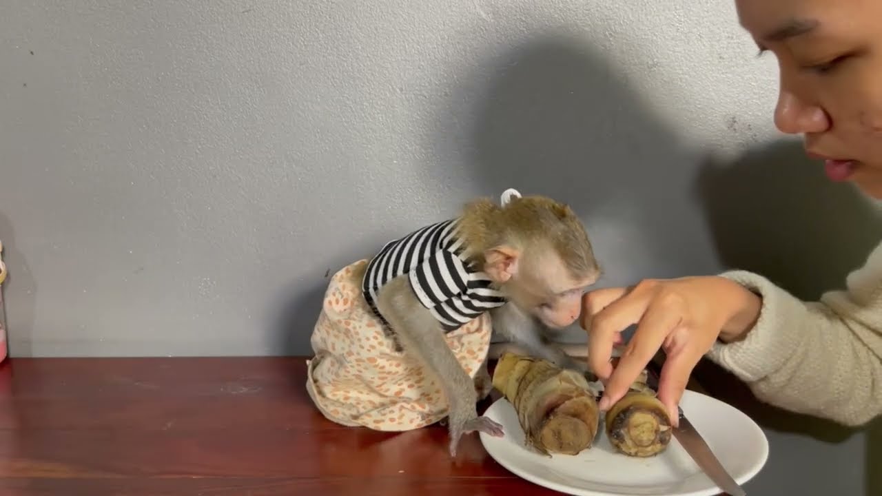 Oo0ps..! Lil koy Tri u\se her fuuni lip smacking request some snack from mom
