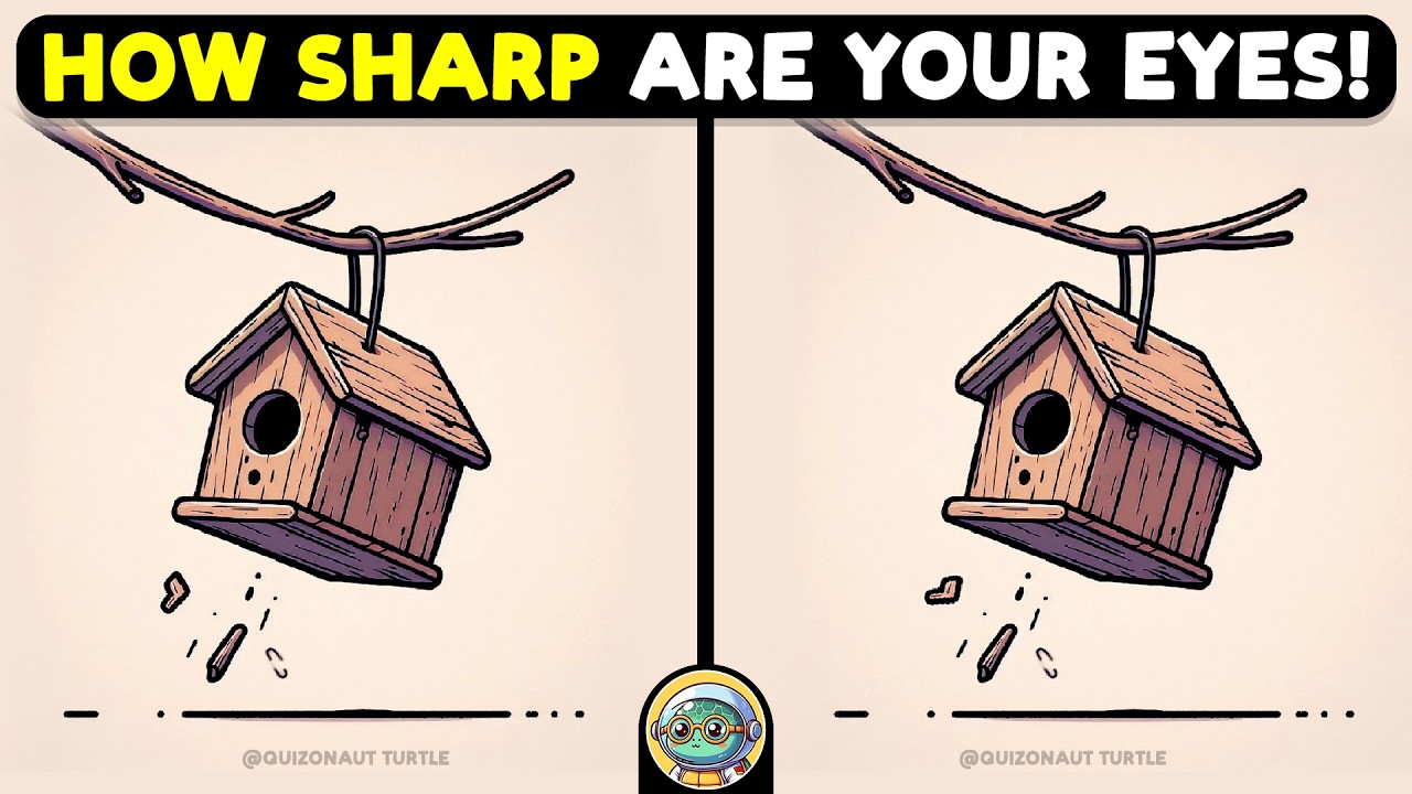 🐢🧩 Find 3 Differences | Mind Training Game 🧩🐢 | Quizonaut Turtle