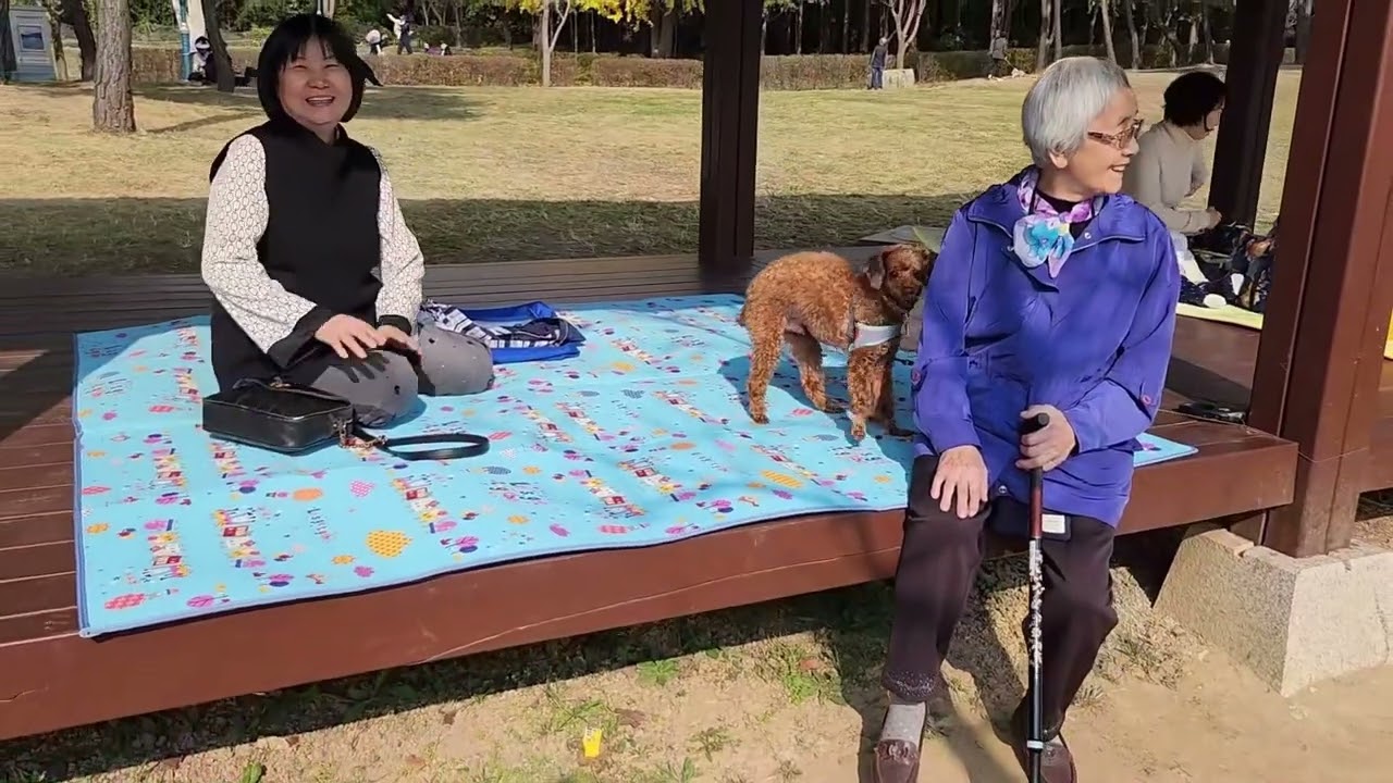 할머니123편 통합