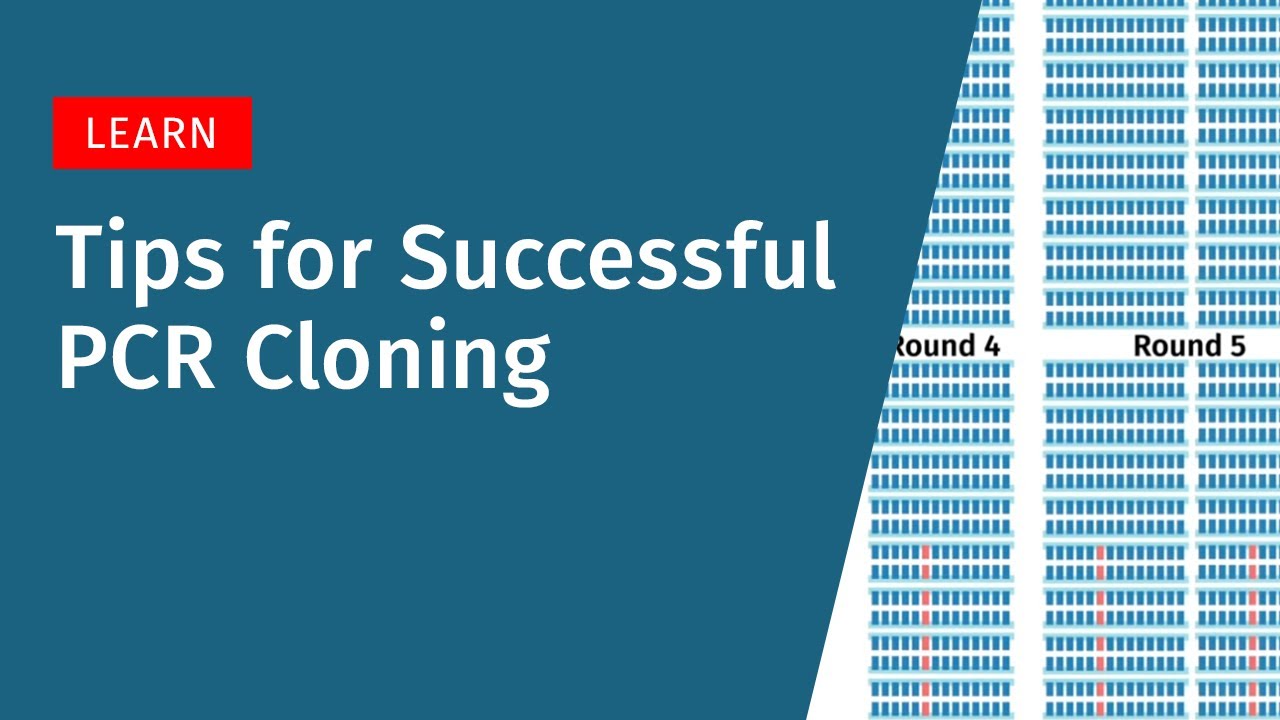 Tips for Successful PCR Cloning