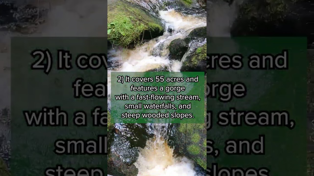 Wyming Brook Nature Reserve: Beautiful Walk In Sheffield