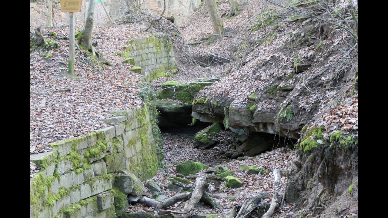 Stuttgart Waldeck Schwälblesklinge Waldfriedhof bis Haigst