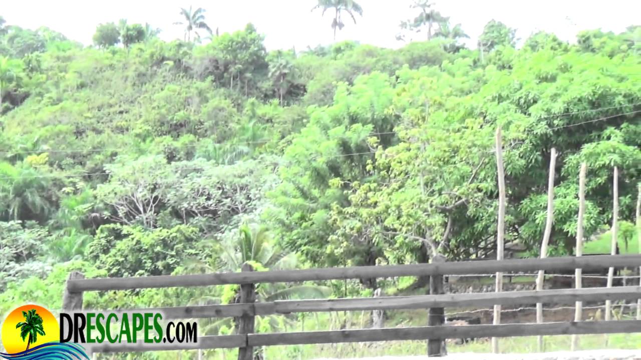 Sustainable Lifestyle In Cabrera Dominican Republic - PartTwo