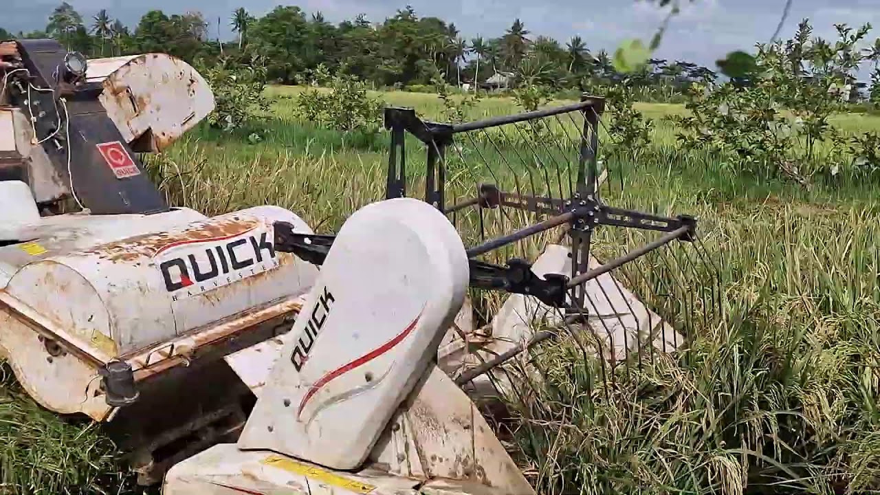 THIS MACHINE HARVESTS RICE IN MINUTES – YOU WON’T BELIEVE IT! - Agriculture Farming