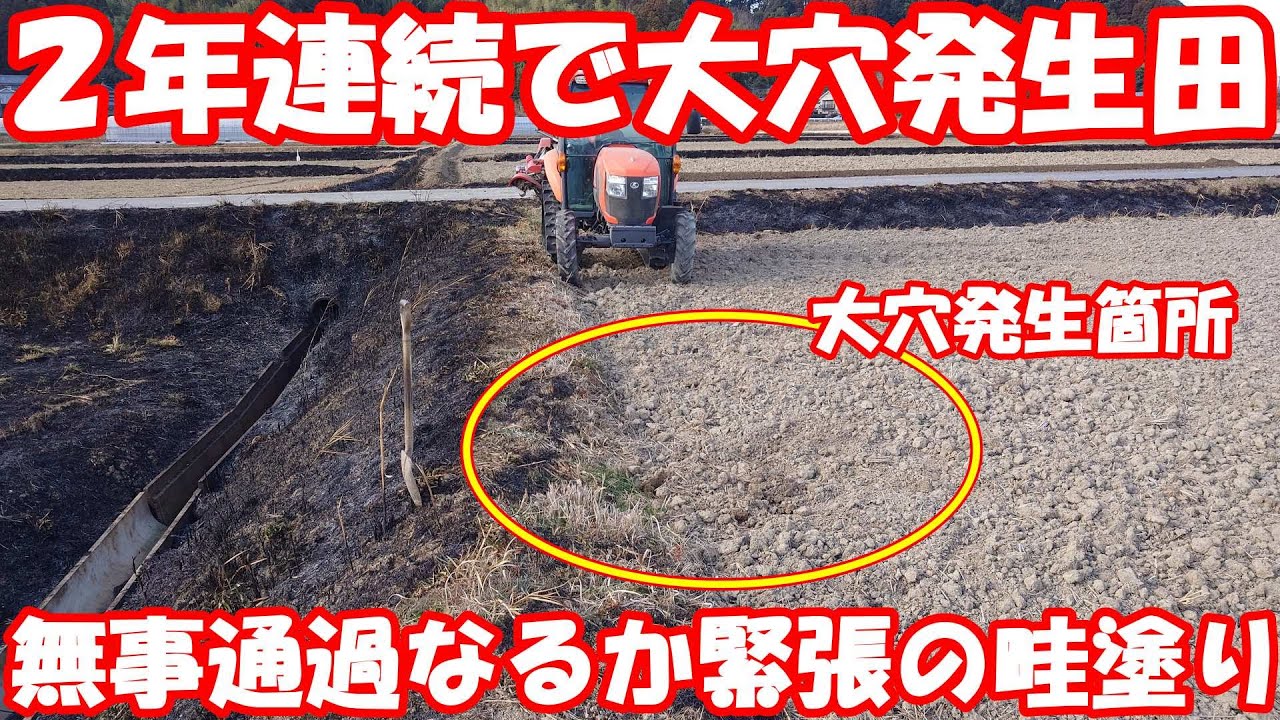 ドキドキ…！大穴埋め立て箇所の畦塗り。