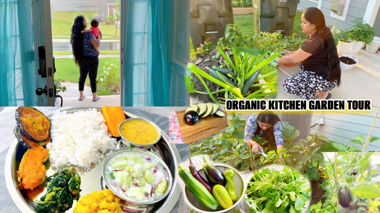 👩‍🌾OUR ORGANIC VEGETABLE 🪴 HARVESTING 👩‍🍳COOKING 😋LUNCH🍱WITH MY GARDEN PRODUCE🥳