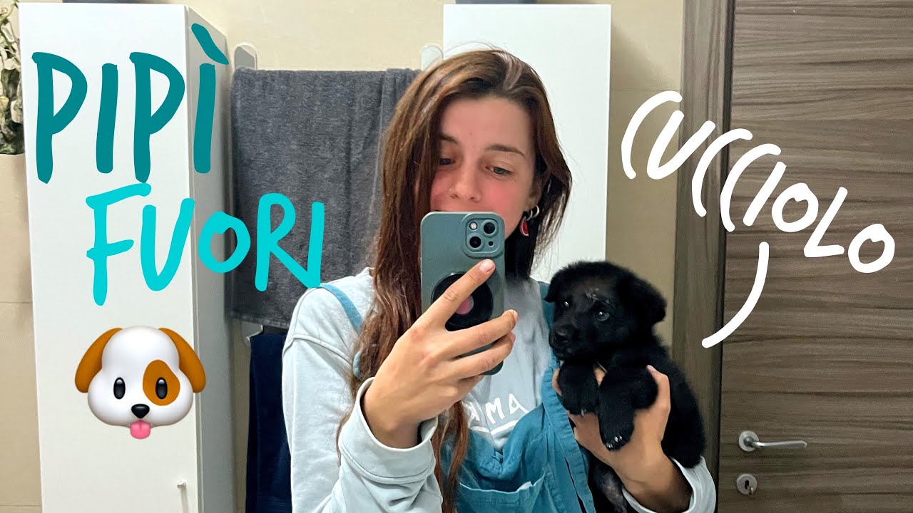 COME INSEGNARE AL CANE🐶a fare I BISOGNI FUORI🐕cuccioli e adulti