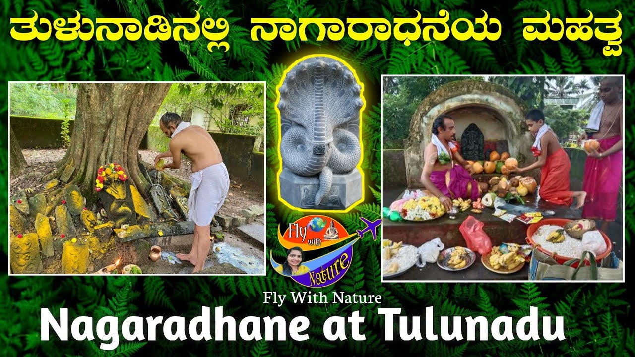 ತುಳುನಾಡಿನಲ್ಲಿ ನಾಗಾರಾಧನೆಯ ಮಹತ್ವ| Nagaradhane