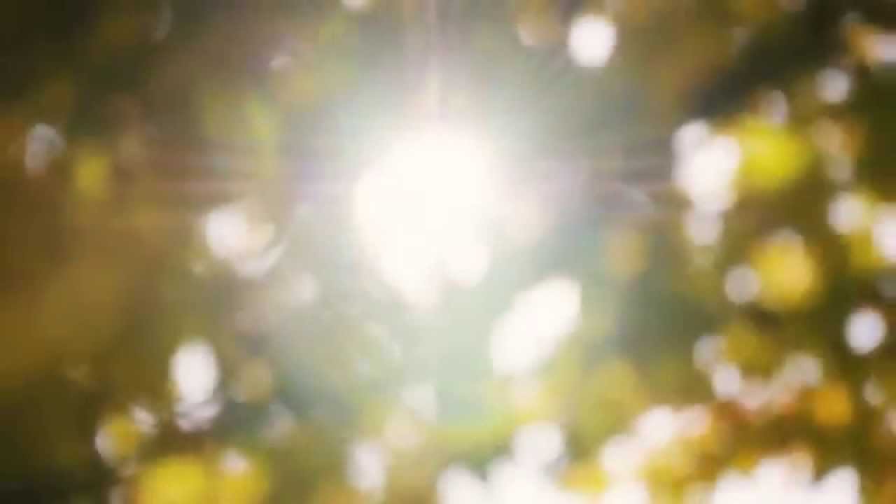 MEDIAVOLO - Cavalry Drum [Official video]