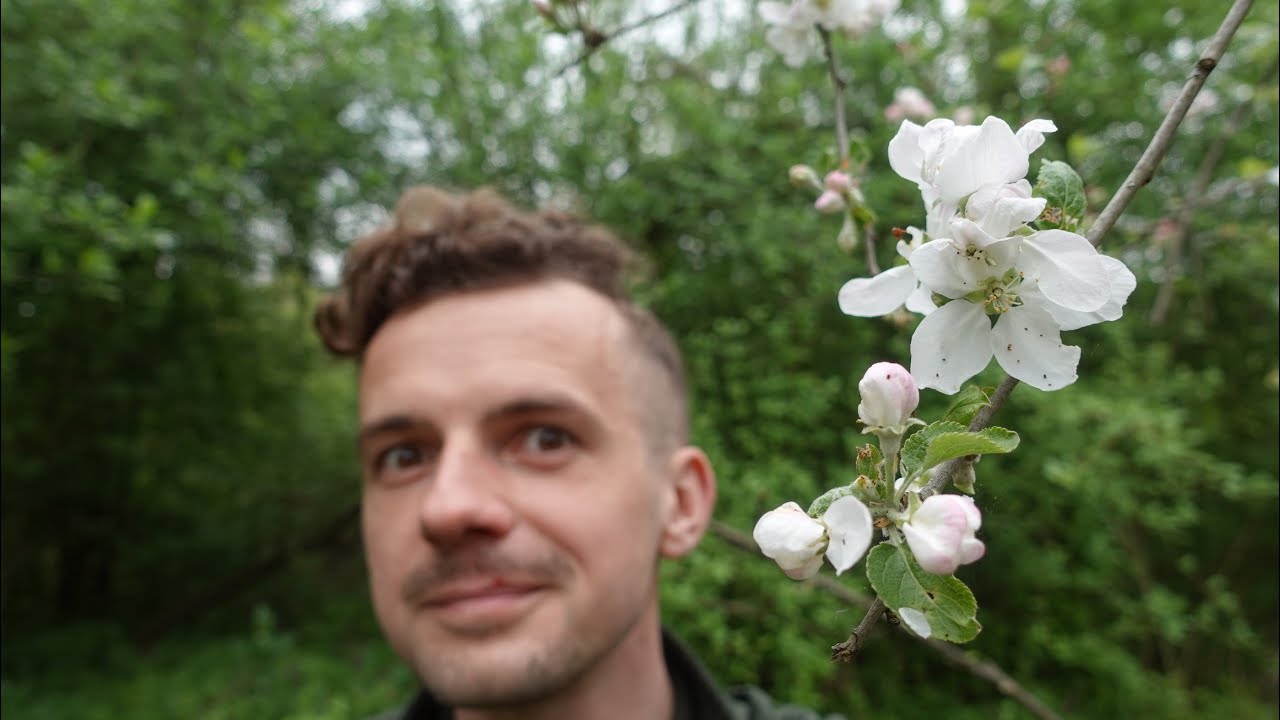 szukając wiosennych GRZYBÓW w lesie łęgowym