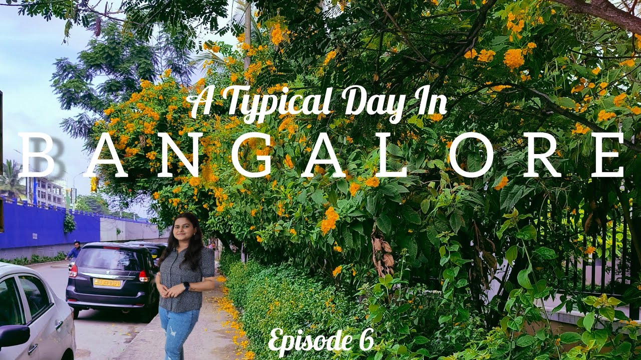 Ep 6 || A typical day in Bangalore || Government Employee's Life || Pratishtha || GITCVlog