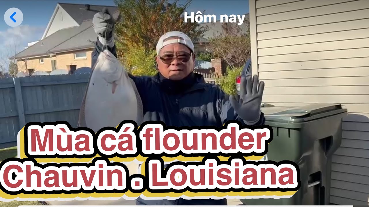 Đi câu bị cá lôi mất cần .