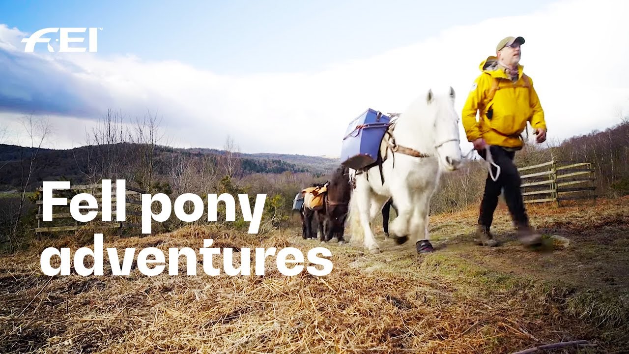 Fall in love with some friendly Fell ponies 😍 | RIDE presented by Longines
