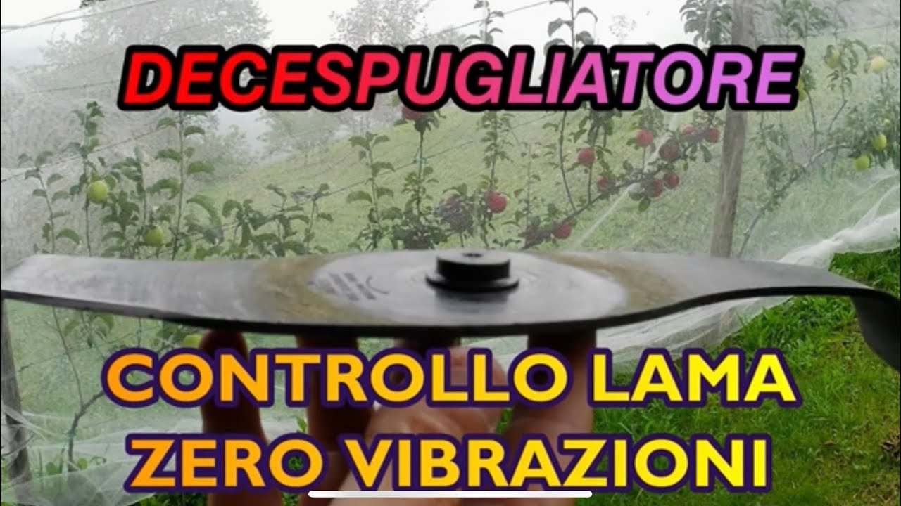 DECESPUGLIATORE AFFILATURA LAMA