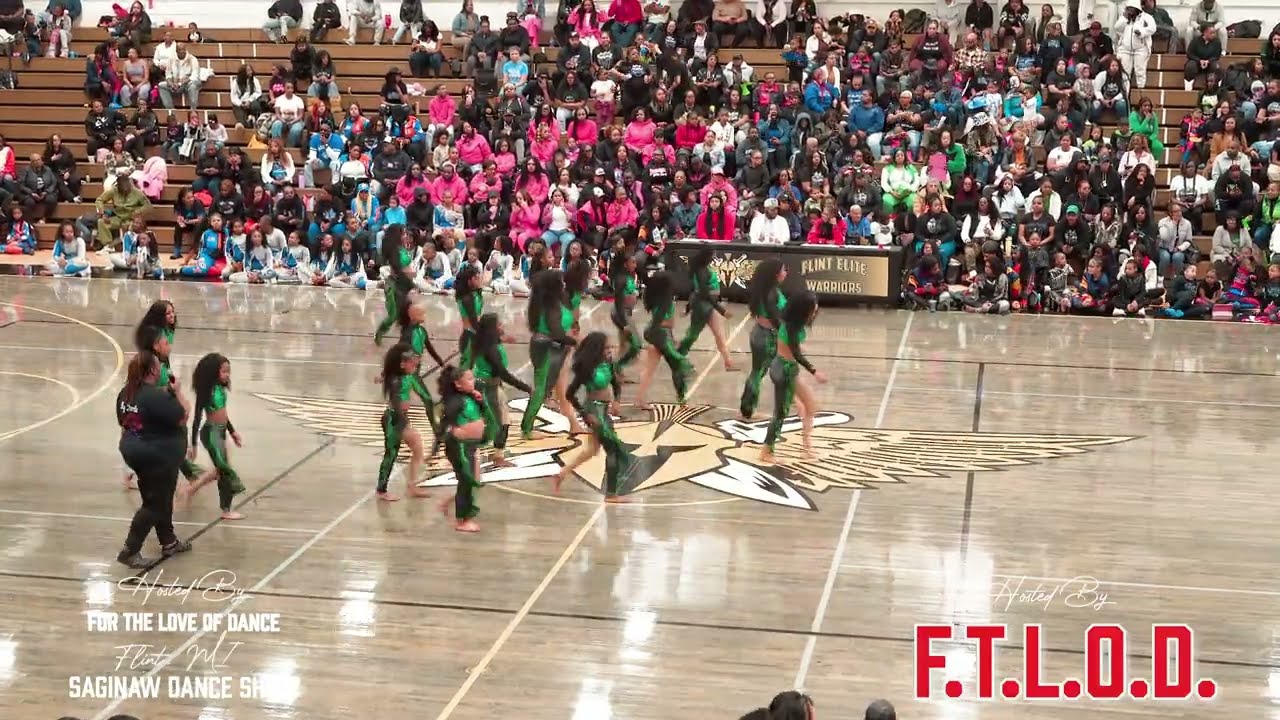 Diamond Divas of Indy vs Reigning Elite Dance | Stand Battle | Flint, MI