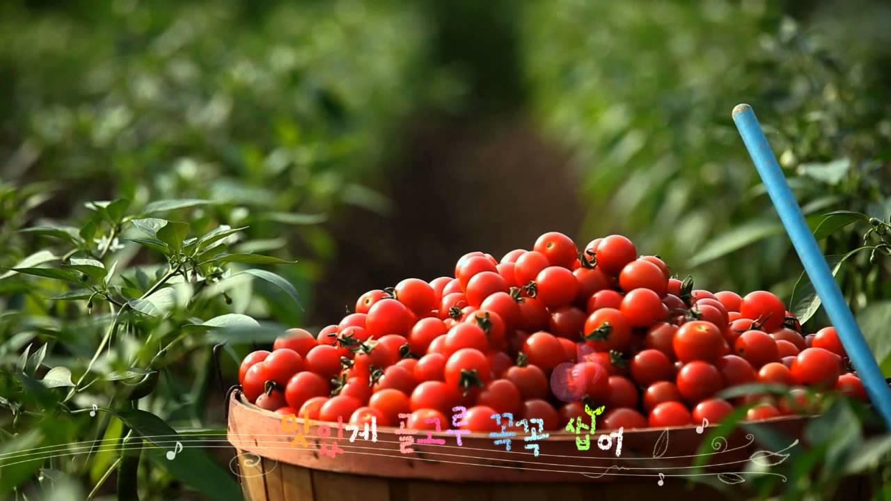 오감으로 느껴보는 바른먹거리 캠페인 교육용