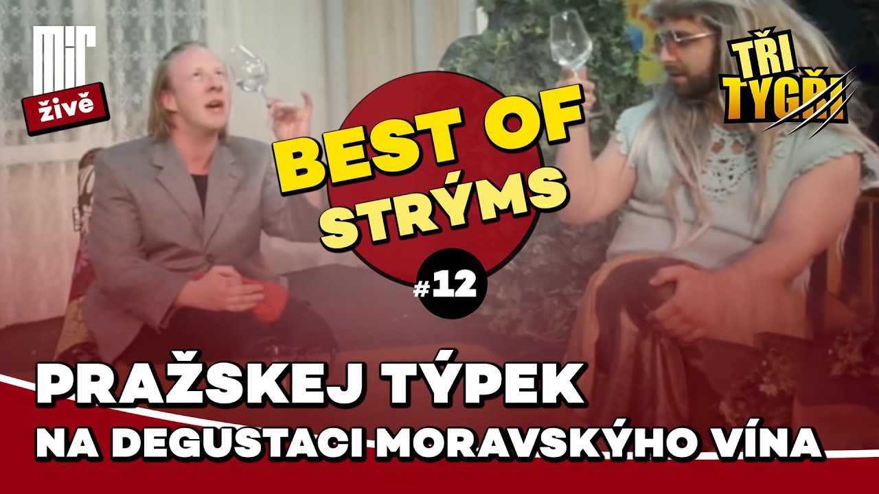 TŘI TYGŘI | Pražskej týpek na degustaci moravskýho vína | Best of strýms #12