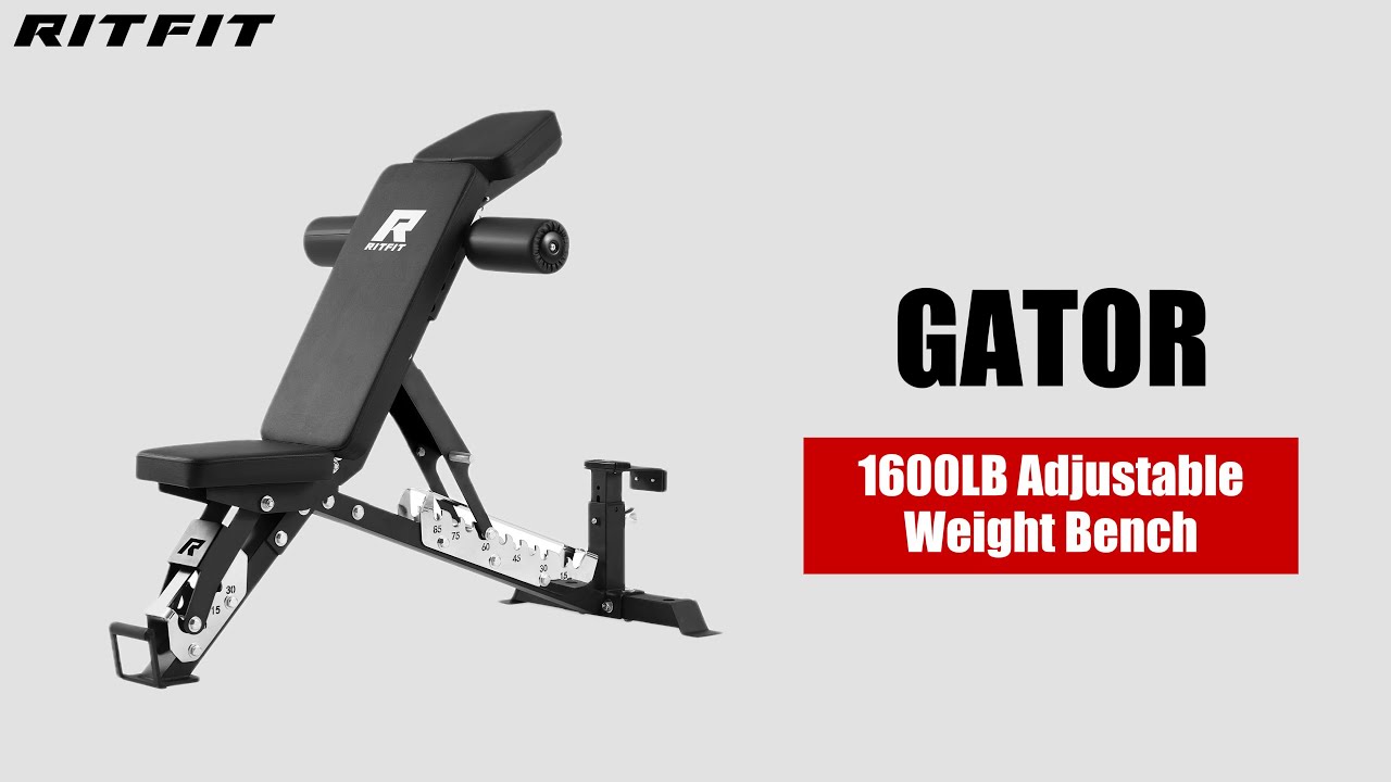 RITFIT | GATOR 1600LB Adjustable Weight Bench