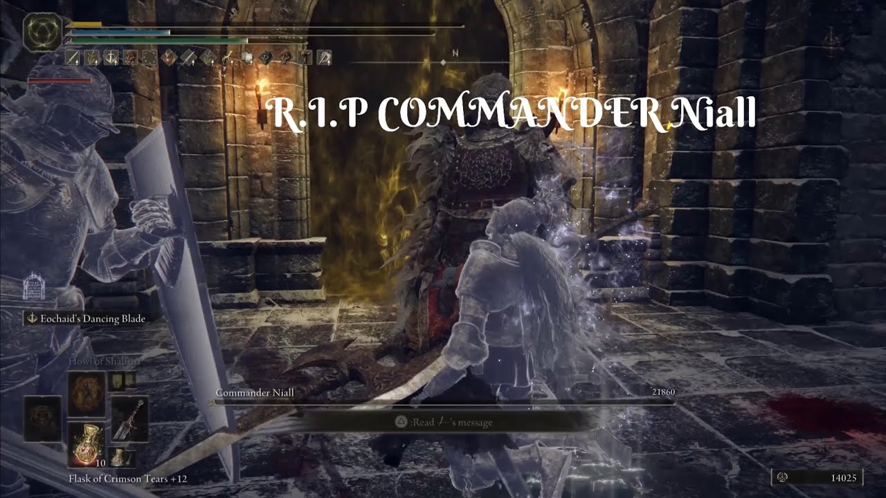Commander Niall vs Marais Executioner&rsquo;s Sword &ndash; Broken Build
