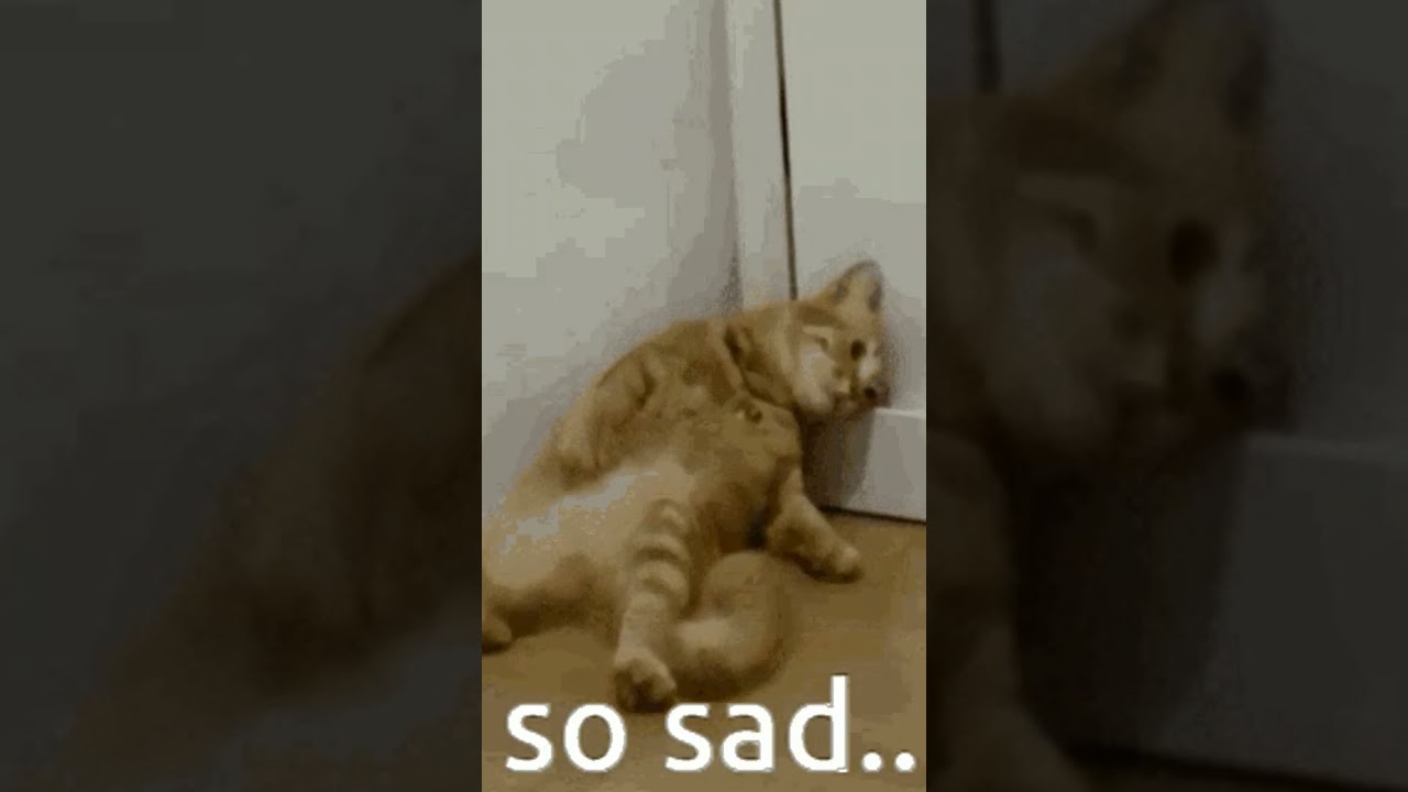 SO SAD @BrotatoGang @fcbayern @MrBeast @Brotatos--Clips @ITAN1.0