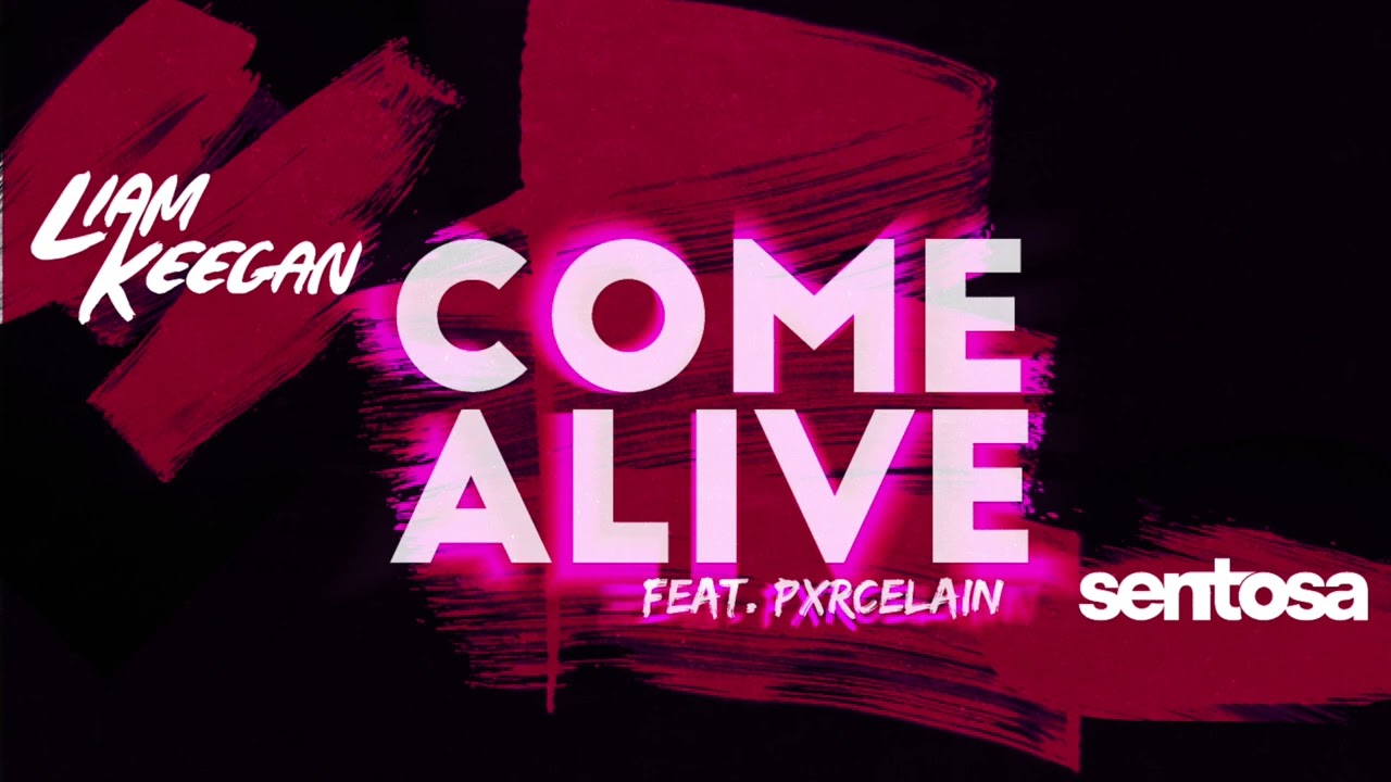 Liam Keegan ft. Pxrcelain - Come Alive