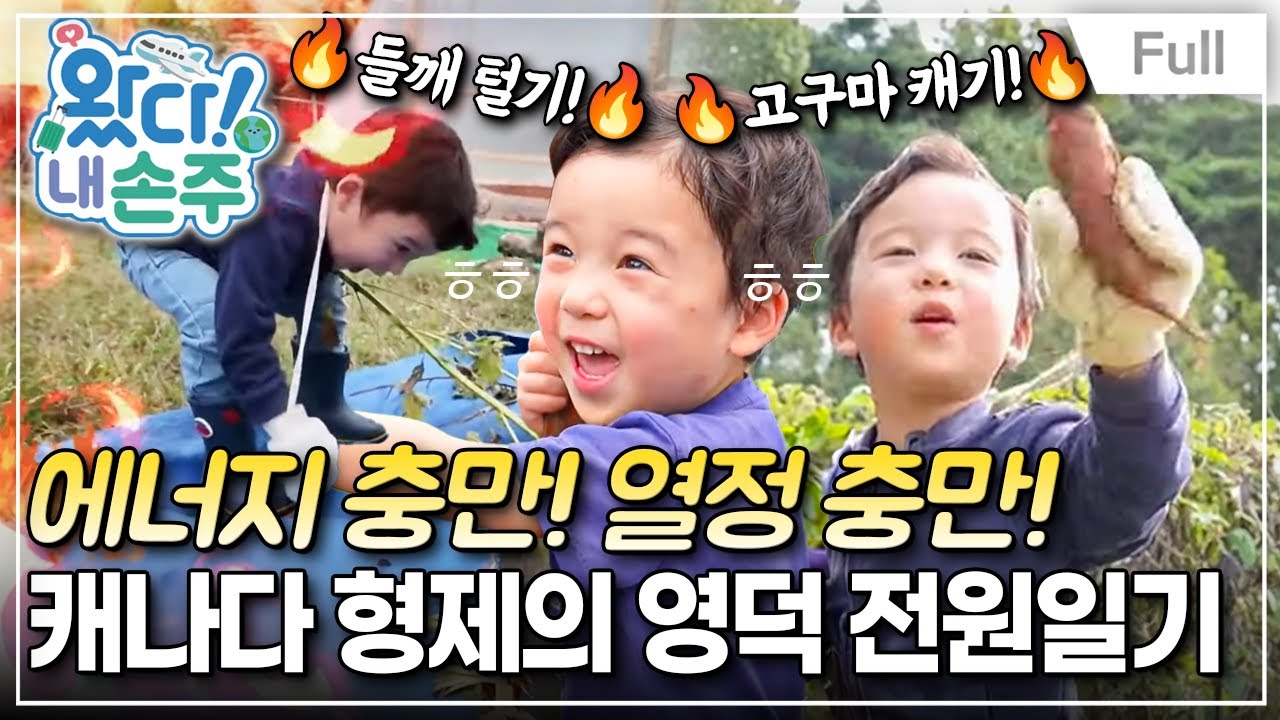 [Full] 왔다! 내 손주 - 영덕 마을을 발칵 뒤집다! 캐나다 형제의 전원일기(1)