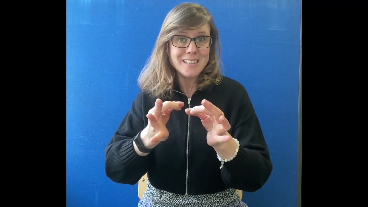 Overzicht tolkstrategie&euml;n