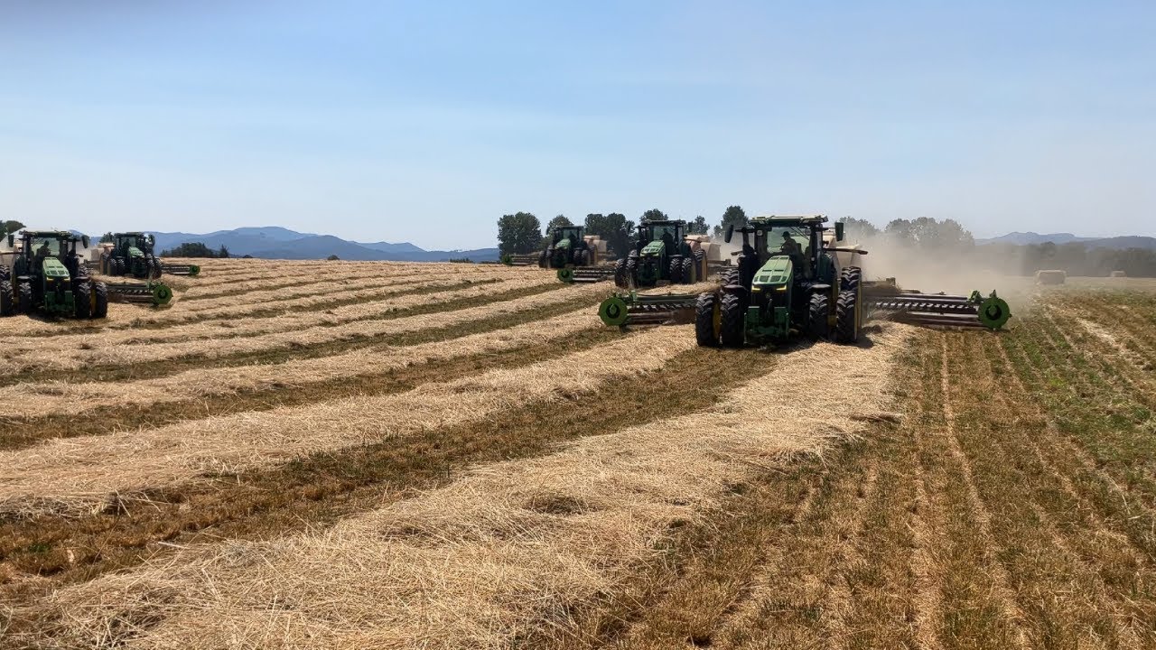 Baling 250,000 bales! - Valley Hay 2024