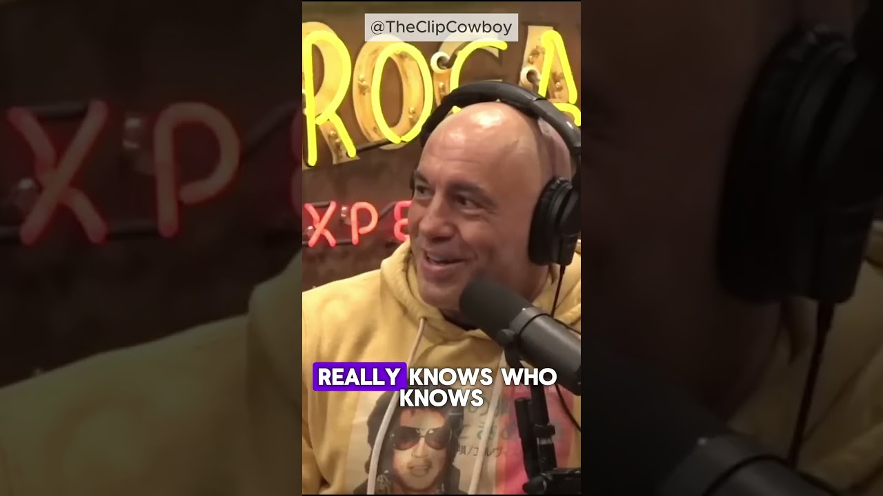 Joe Rogan on P. Ditty getting raided #joerogan