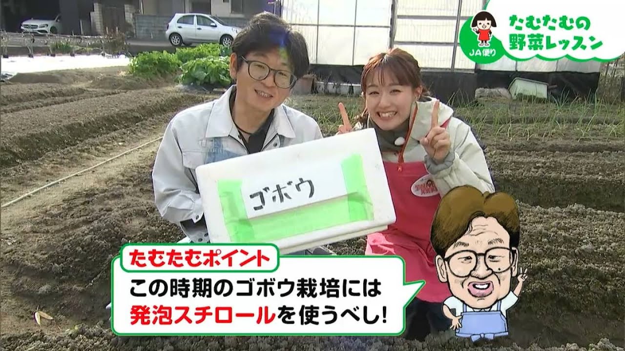 「この時期のゴボウ栽培には、発泡スチロールを使うべし」ゴボウ栽培に挑戦【第32回】｜【笑味ちゃん天気予報】たむたむの野菜レッスン 2025年12月12日放送