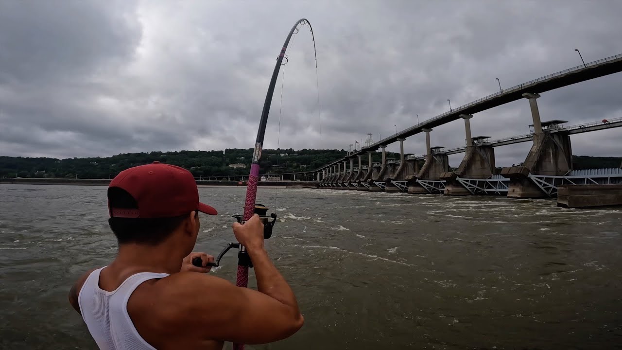 Fishing With Fresh Shad On The Arkansas River! (It's Finally Starting To Get Good!)